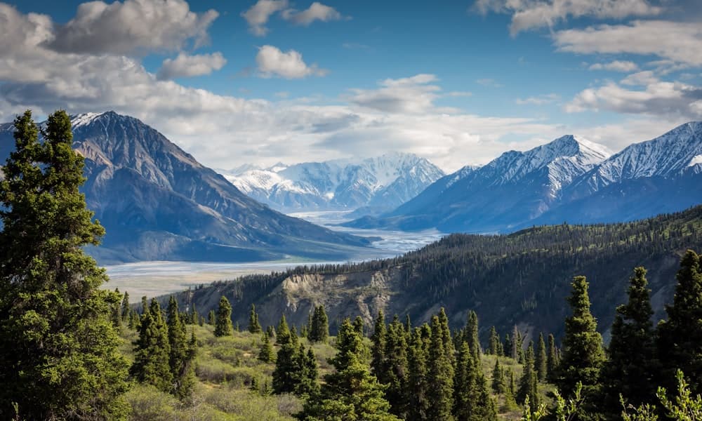Konsolosluklar ve Türk Dernekleri